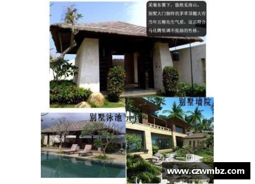 法甲球员豪宅揭秘：奢华居住的绝美设计与独特风格