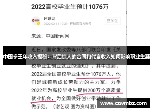 中国拳王年收入揭秘：背后惊人的合同和代言收入如何影响职业生涯
